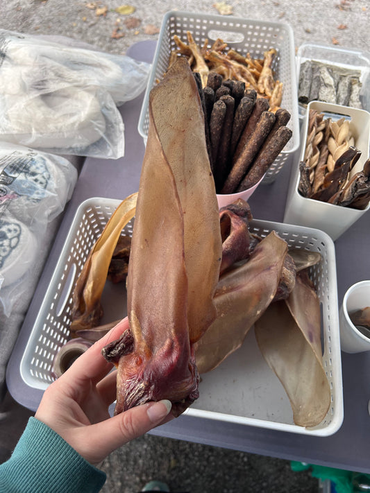 Large hairless cow ears