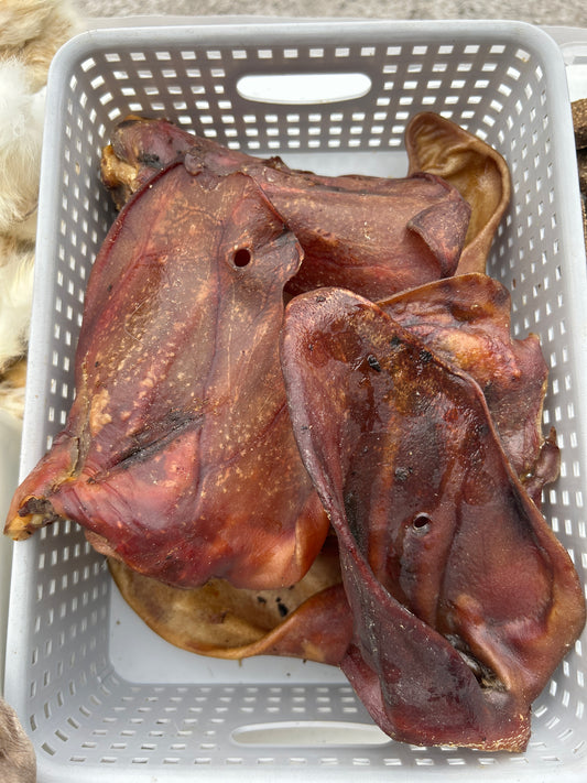 XL Sow ears