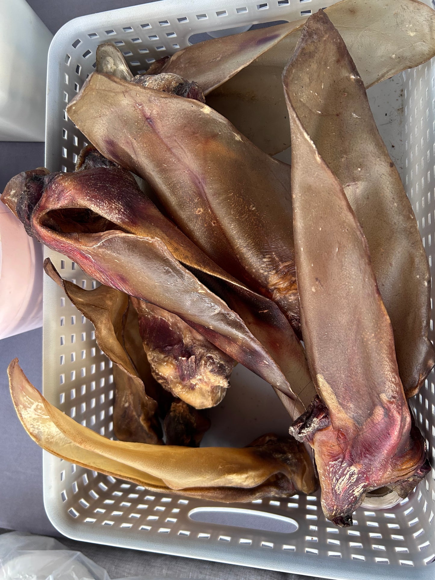 Large hairless cow ears