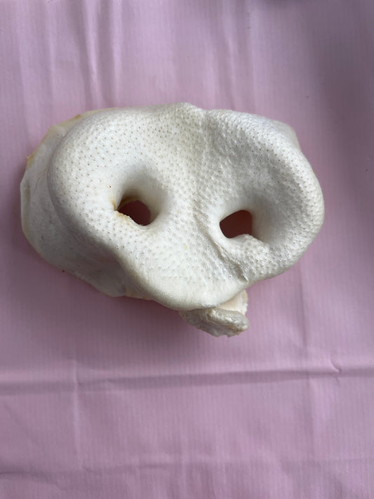 Puffed pig snouts