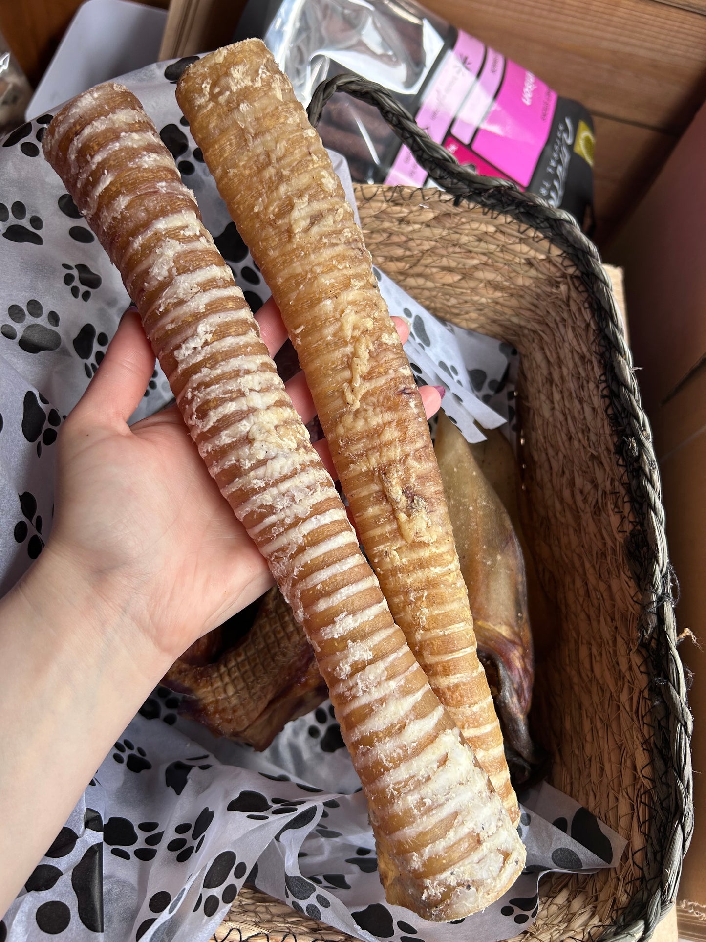 Big chewer box - great for big chewers and large dogs