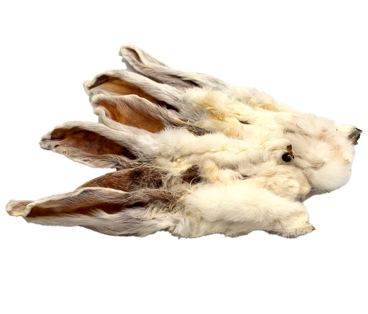 Rabbit ears