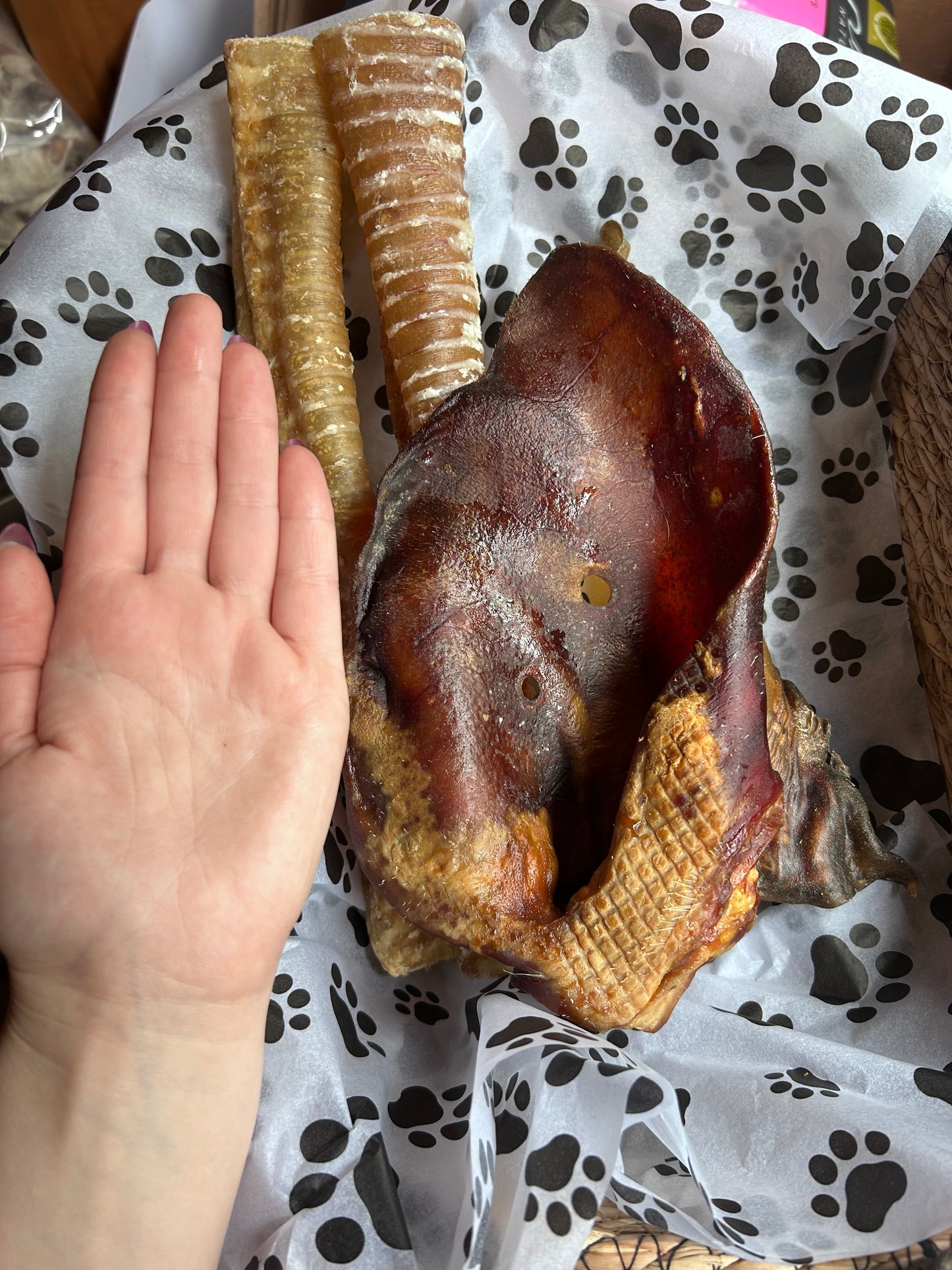 Big chewer box - great for big chewers and large dogs